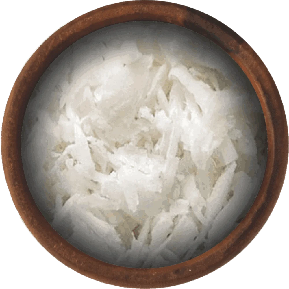 Bulk Unsweetened Coconut Chips 10 Pound Wholesale Box