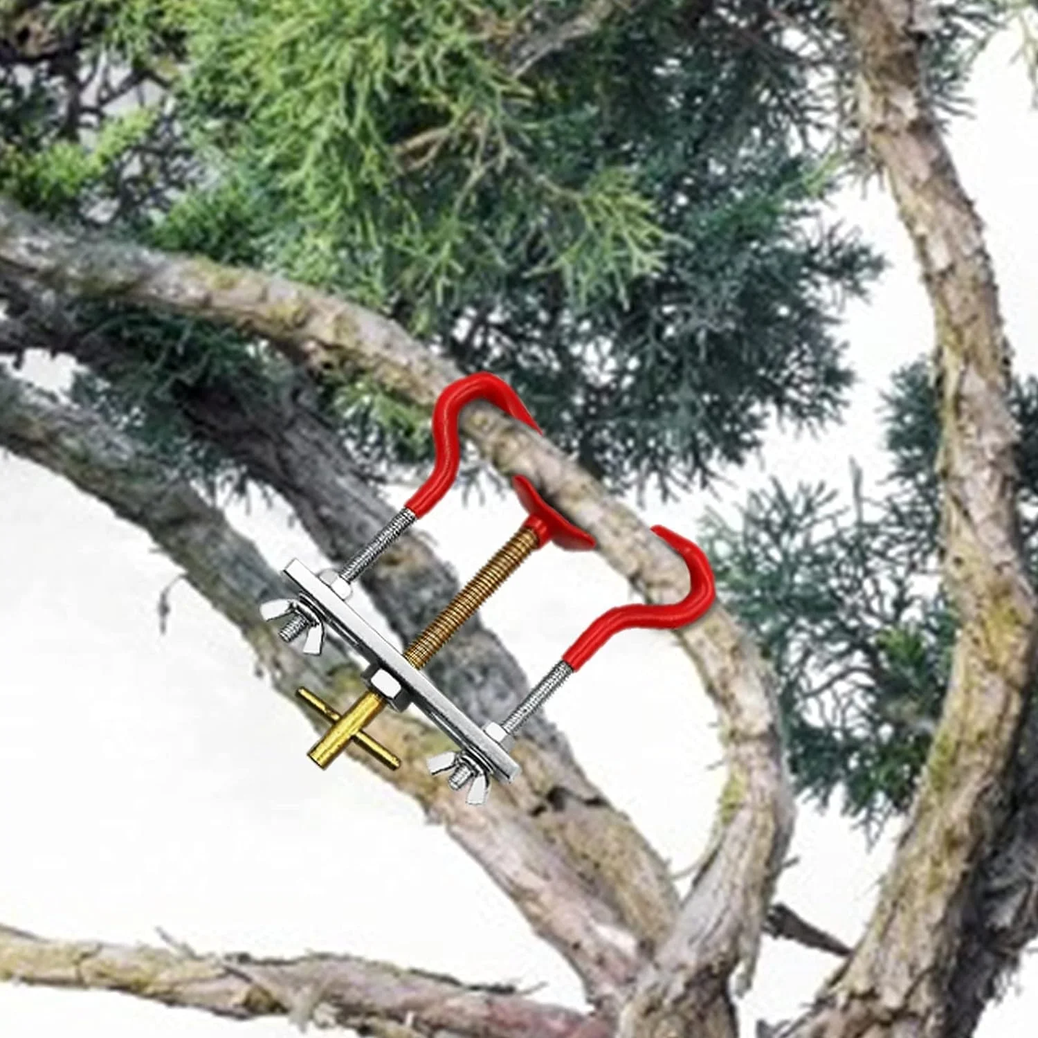 Branch Bender Tool   Trees Branch Modulator Trunk Lopper Regulator  Gardening Hand Tools  Plant Bending Tool  Branch Bending Tool to Improve Yield