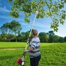 DENEST Chainsaw Pole Saw Tree Trimmer Branch Cutter 42CC 4 Stroke Gas Powered Engine