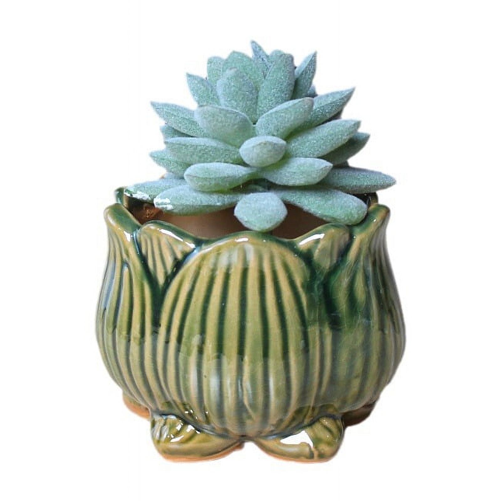 LivNxt Ceramic Succulent Planter - Breathable Coarse Pottery Garden Pot with Drainage Holes