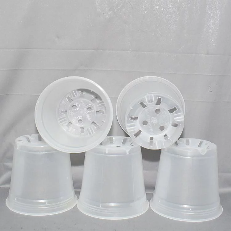 10 Pack - 6 in Clear Round Orchid Pot by Sophie's Orchids