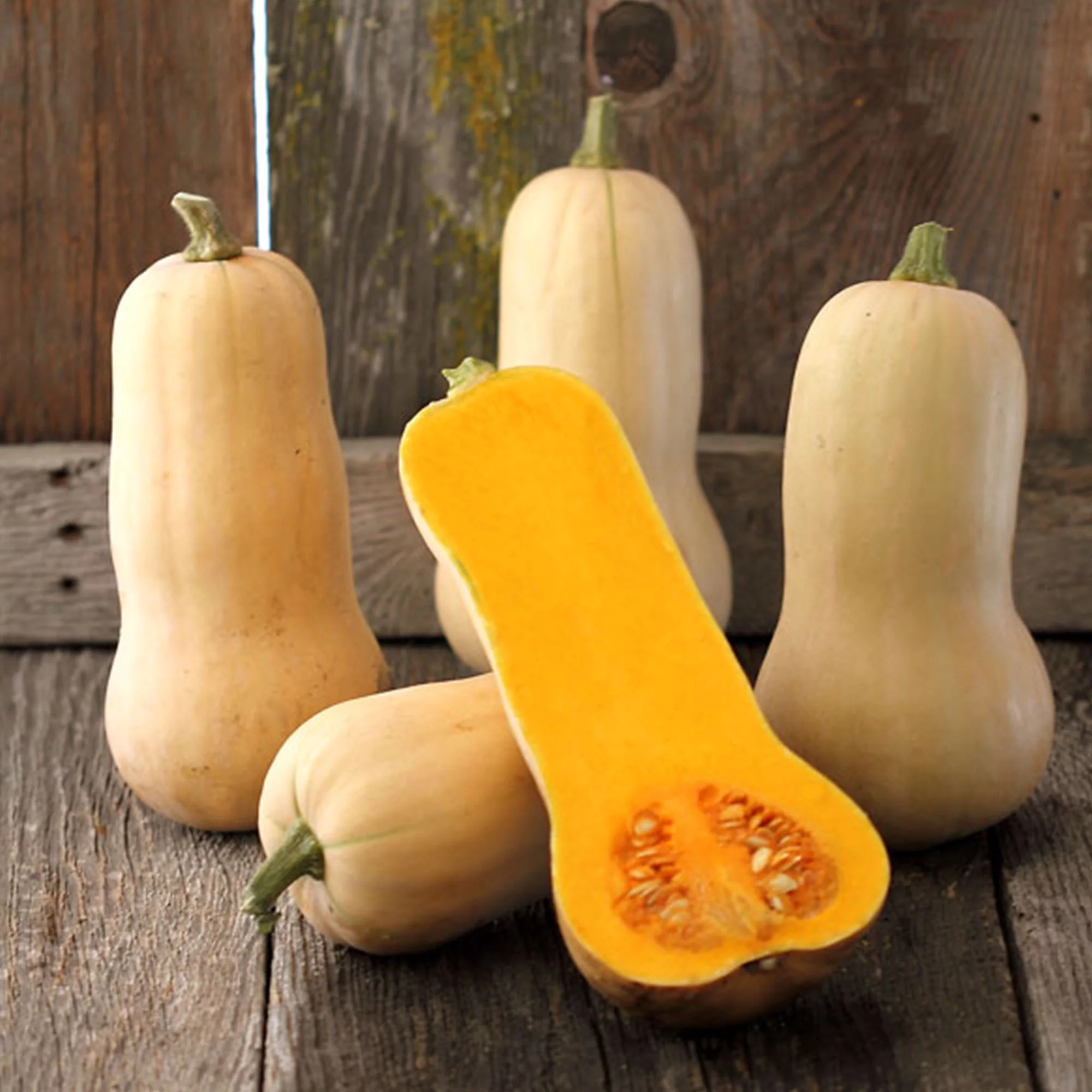 Organic Waltham Butternut Squash - 4 g ~25 Seeds - Non-GMO, Open Pollinated, Heirloom, Vegetable Gardening Seeds - Winter Squash