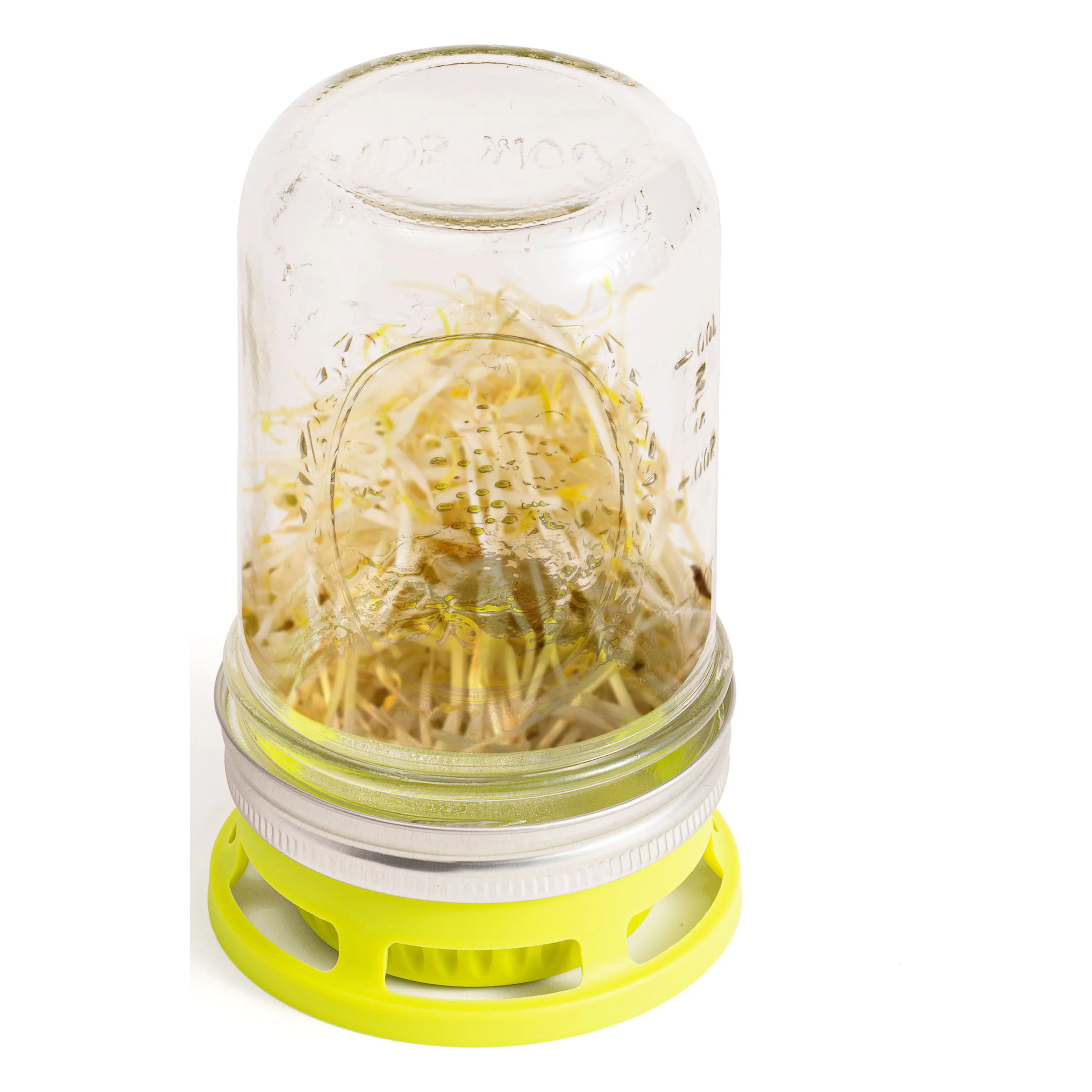 Jarware Seed Sprouter Set of 2