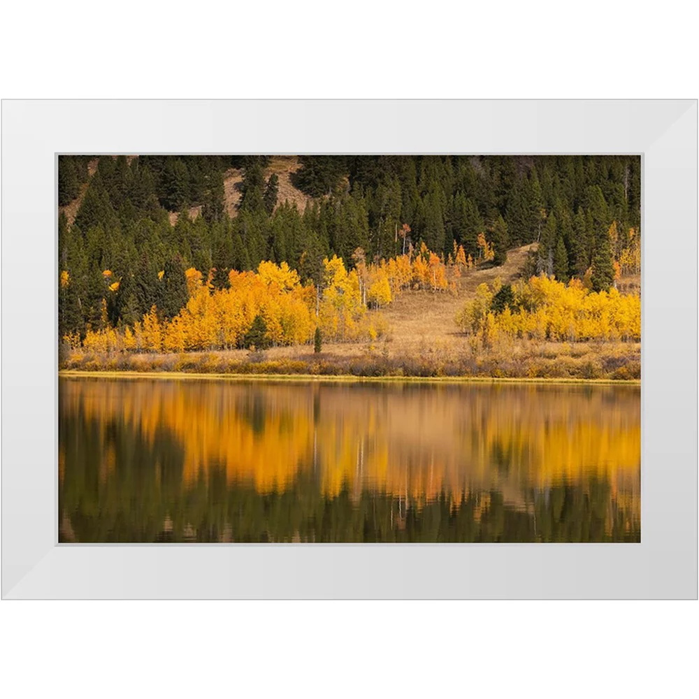 Jones, Adam 14x11 White Modern Wood Framed Museum Art Print Titled - Autumn view of willows and aspen trees along shoreline of Two Ocean Lake-Grand Teton National Park