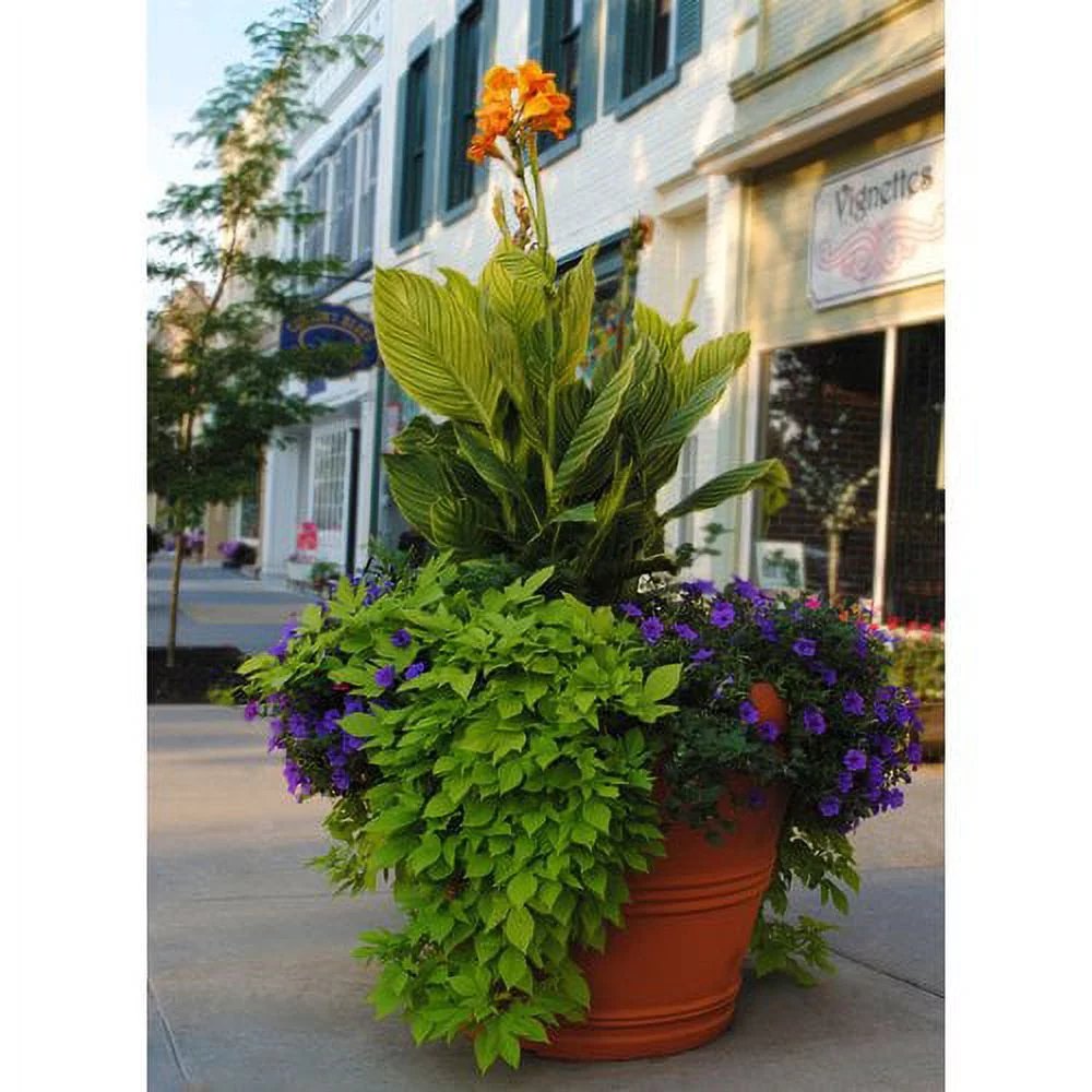 Tusco  20 in. Rolled Rim Planter, Slate