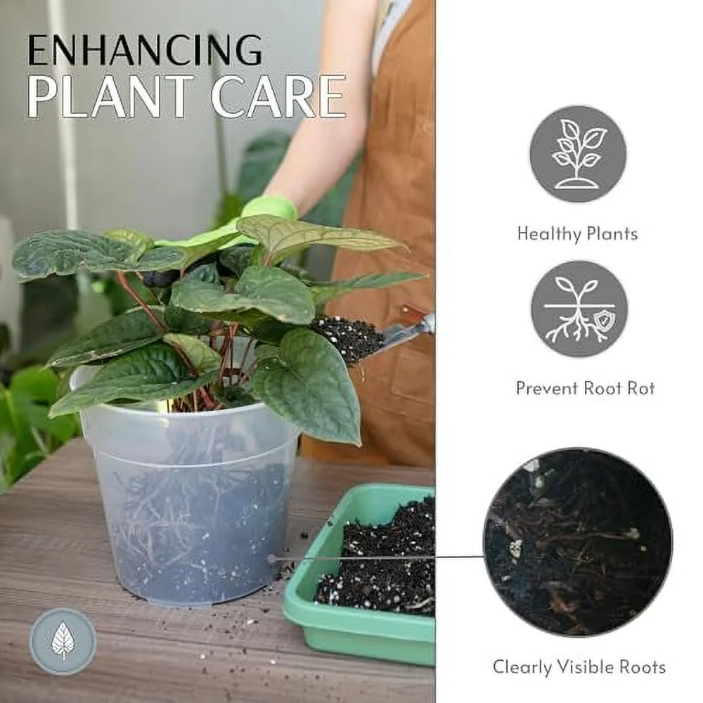 karenplantsplants™ 9