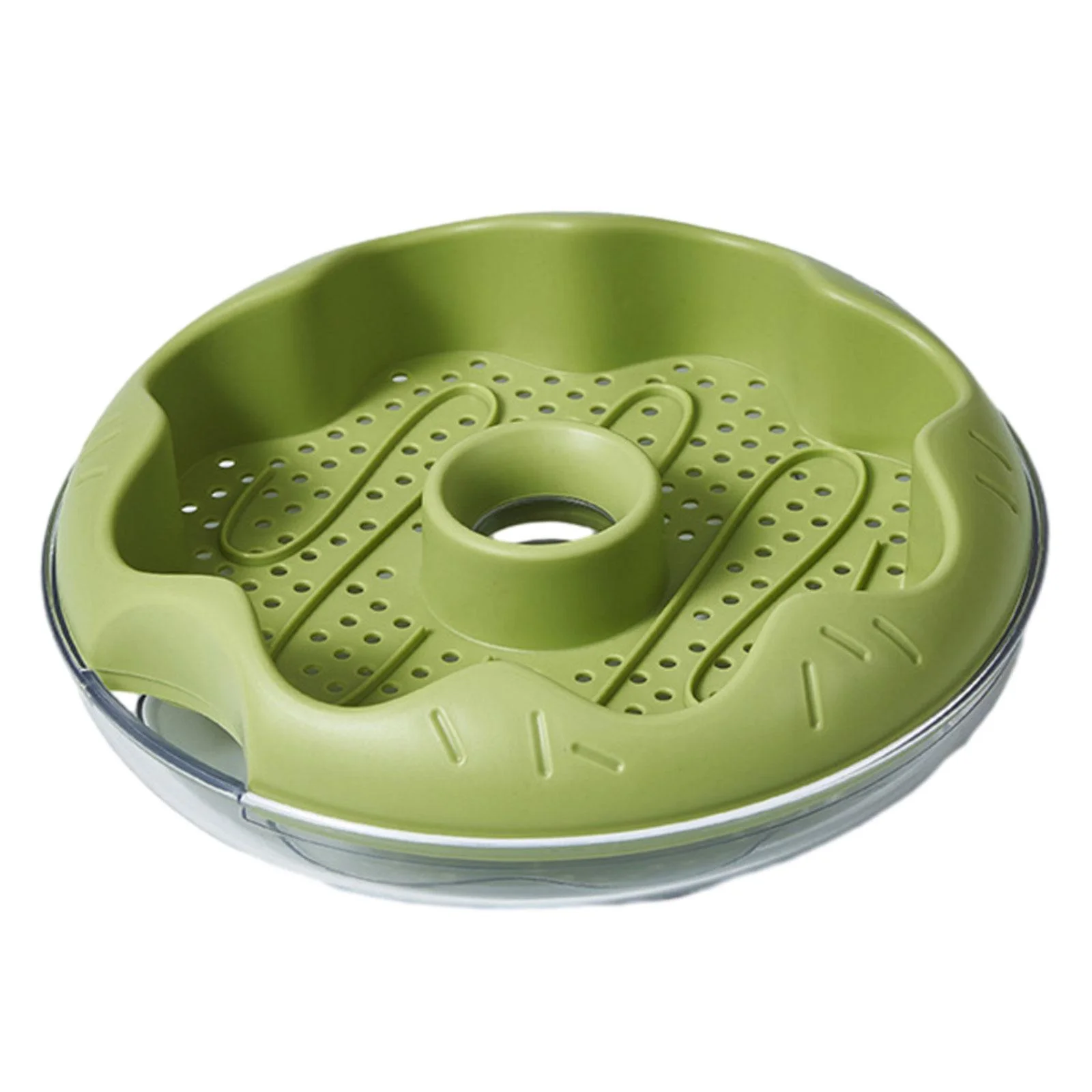 oshhnii Grass , Planting Tray, Germination Tray, Grass Sprouting Tray, Cat Snack Green