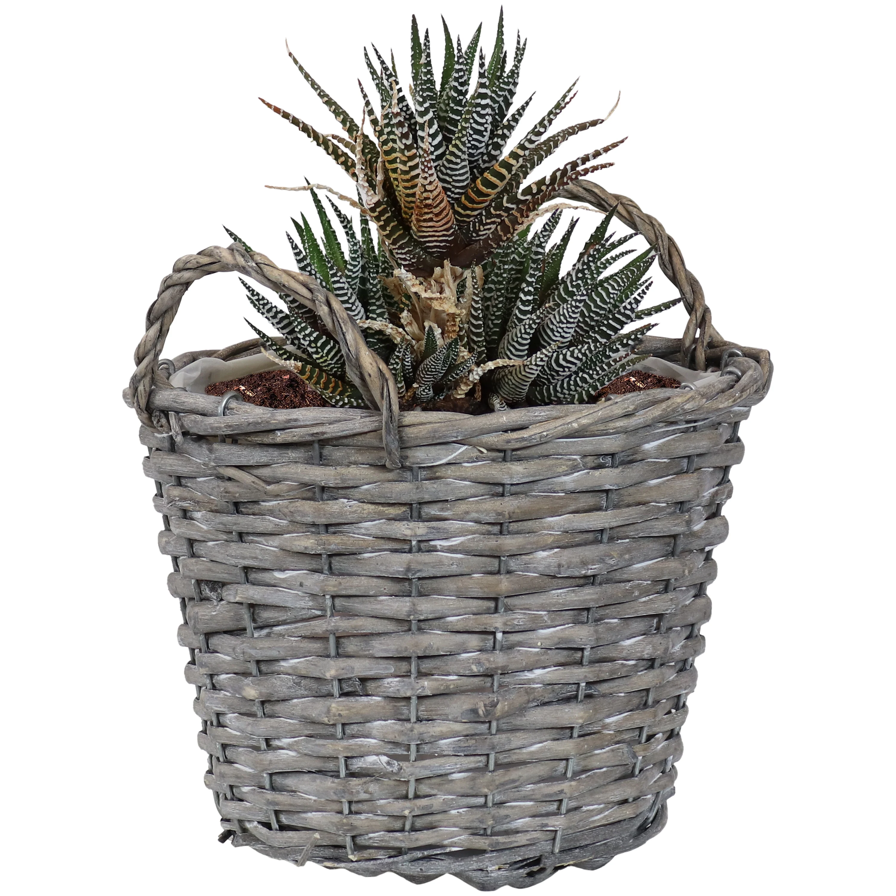 Sunnydaze Set of 5 Willow Wicker Basket Planters