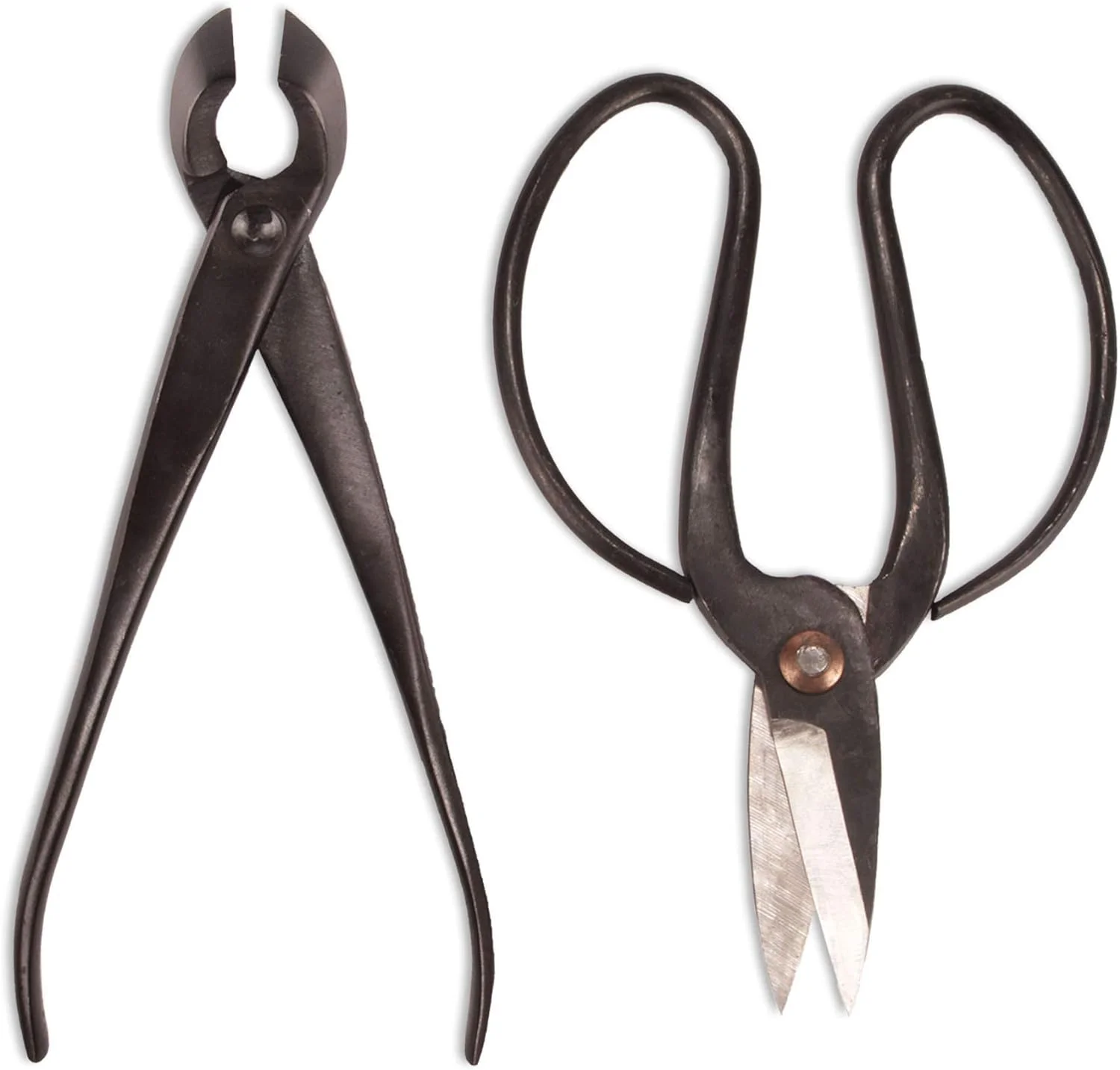 Bonsai Basics Set - 8