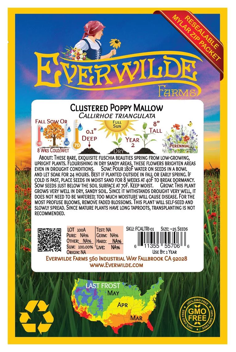 Everwilde Farms - 25 Clustered Poppy Mallow Native Wildflower Seeds - Gold Vault Jumbo Bulk Seed Packet