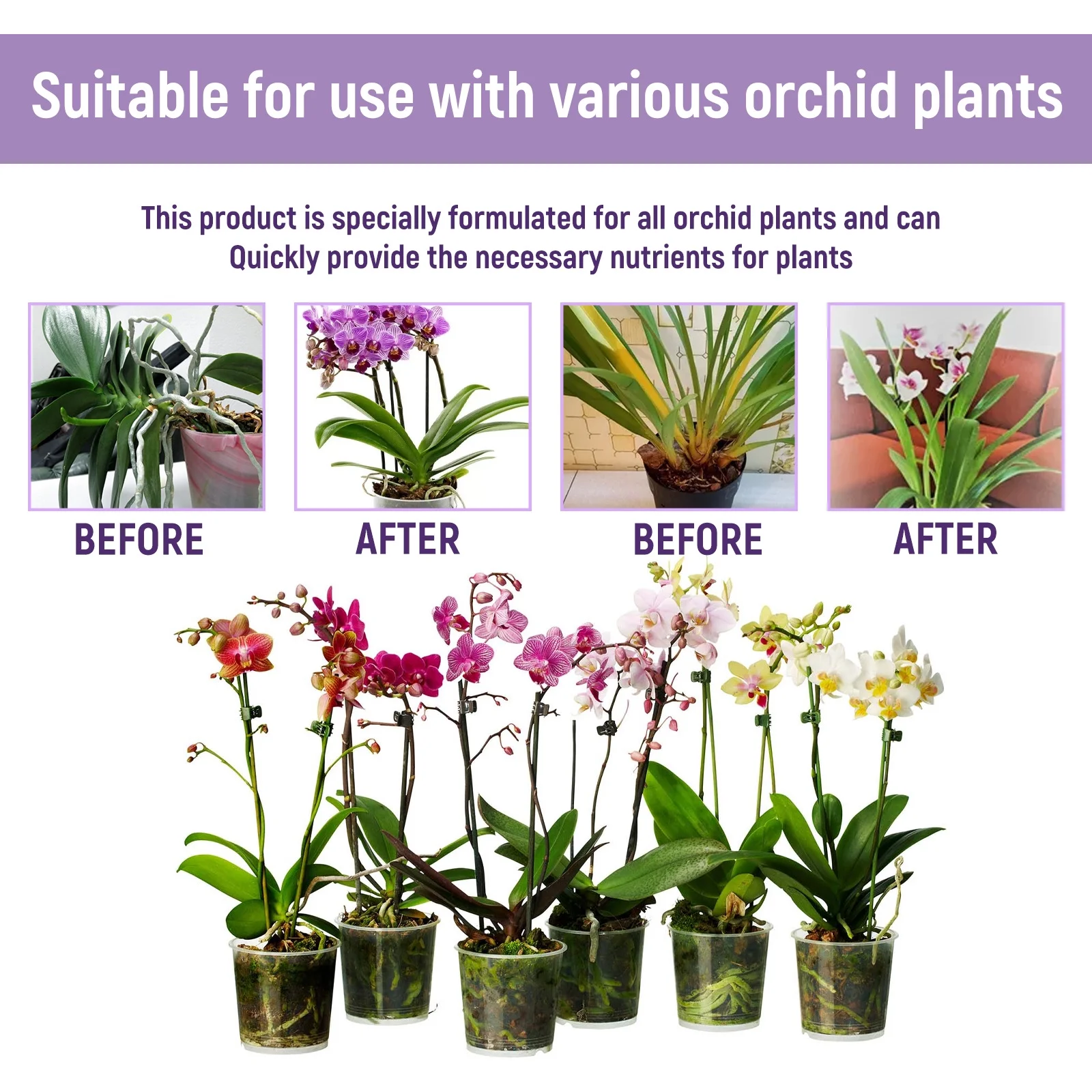 Yegbong Orchid Growth Fertilizer Solution: Plant Flower Buds, Flowers, Organic Foliar Fertilizer, Root Growth Nutrient Solution