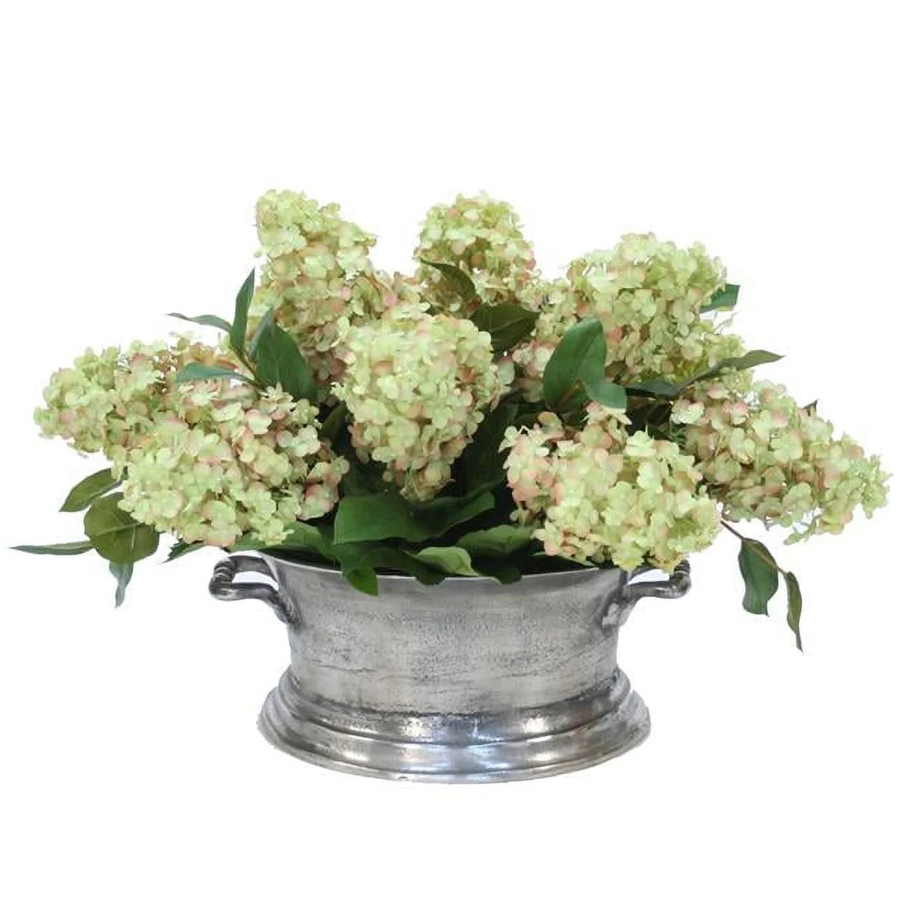 Unisex Hydrangeas in Oval Pewter Planter - Green