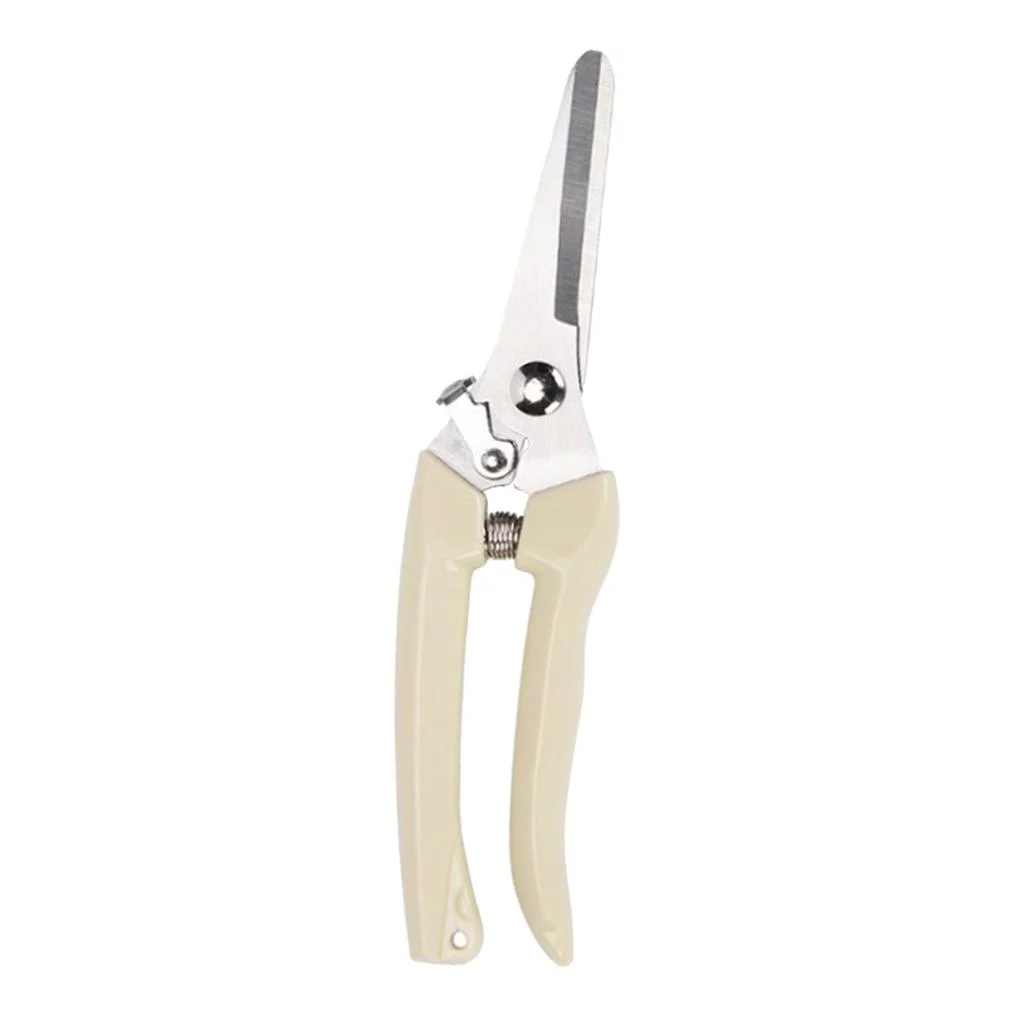 kesoto 2xGarden Pruning Shears Pruners Plant Cutter Hand Tools , Beige, 2 Pcs
