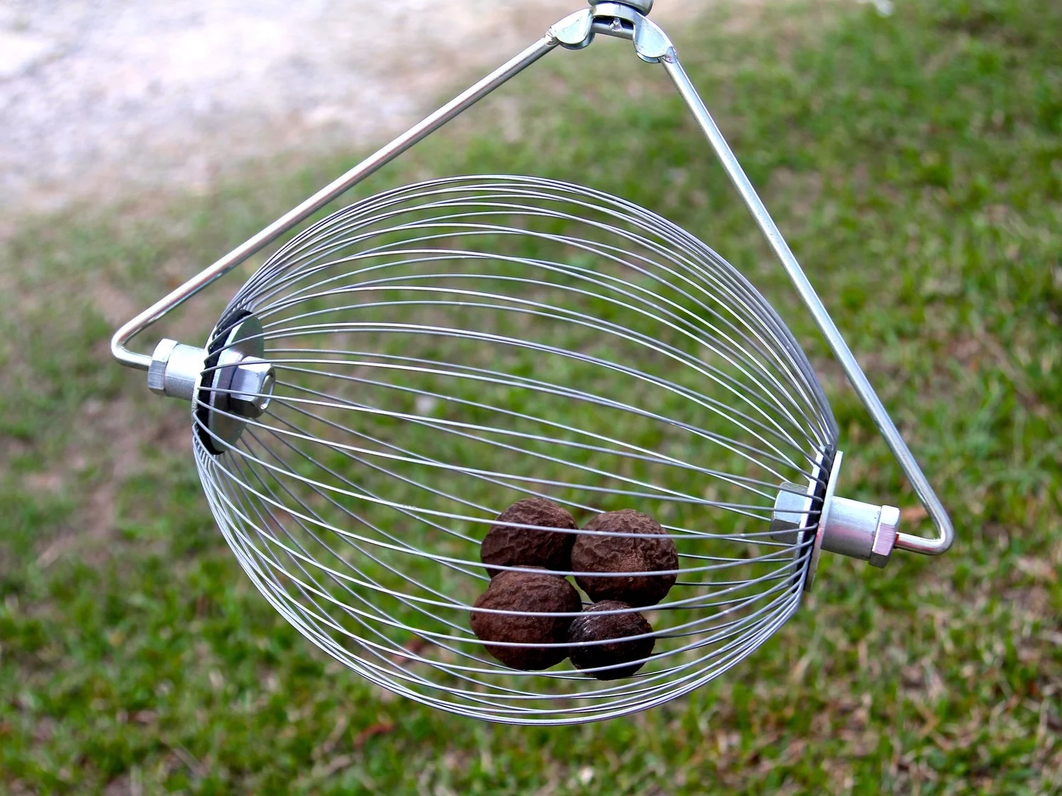 Holt's Nut Wizard (17