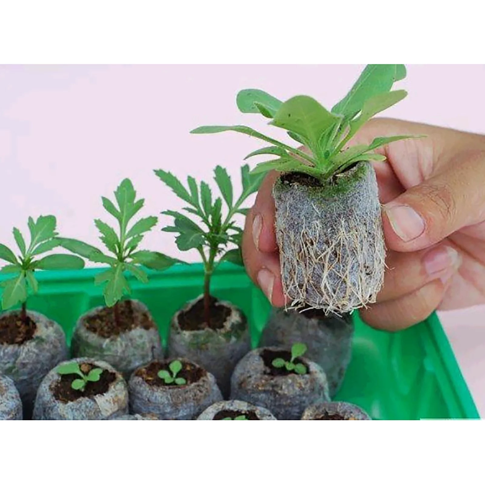 LLQkigsxse Garden Irrigation Hose Pellets Starting Plugs Pallet Seedling So il Block Easy to Operate Mens Birthday Gift Ideas