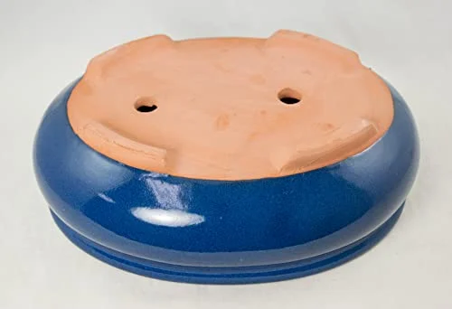 Oval Bonsai / Cactus & Succulent Pot + Tray + Mesh, Dark Blue, 10 x 7.5 x 3.25 Inches