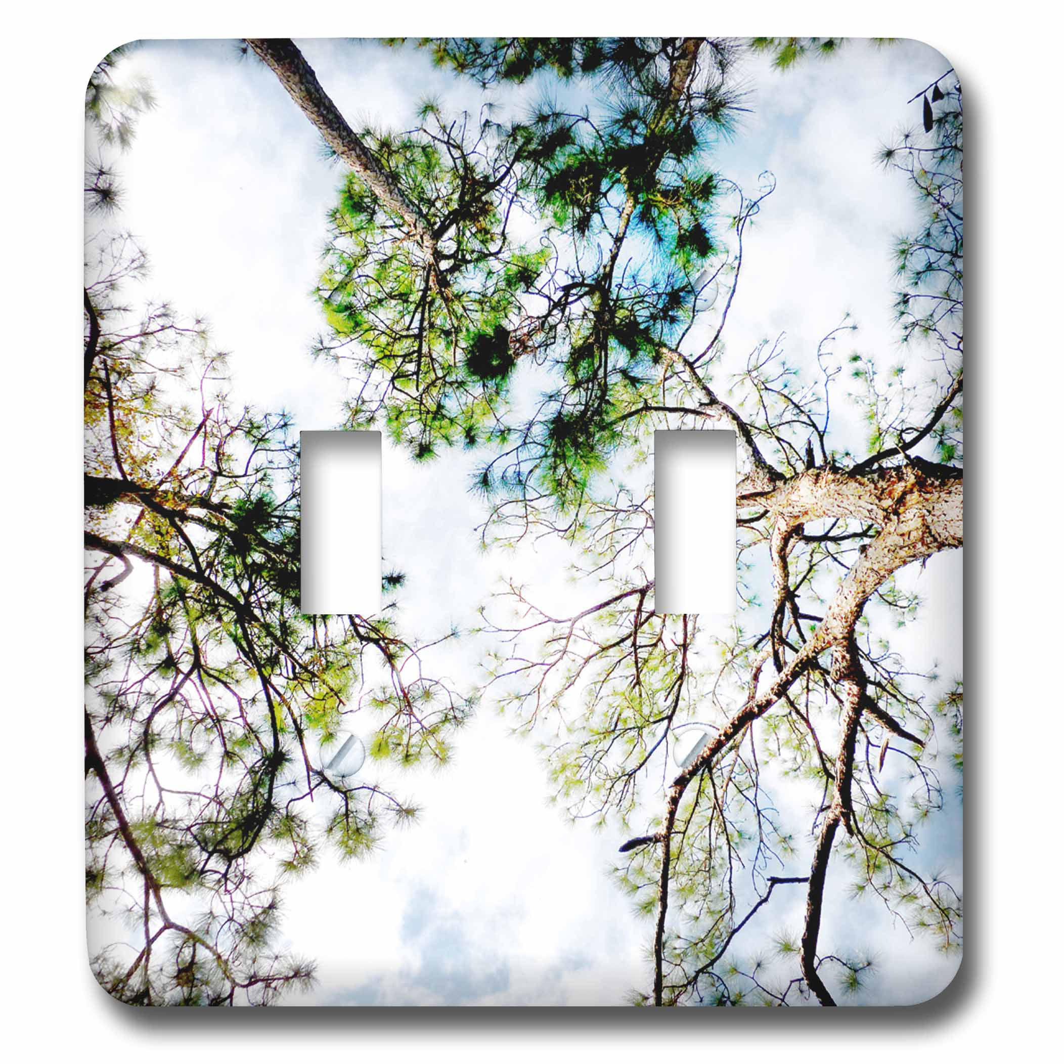 3dRose View looking through slash pine trees sky florida scene 3d - Double Toggle Switch (lsp_162244_2)