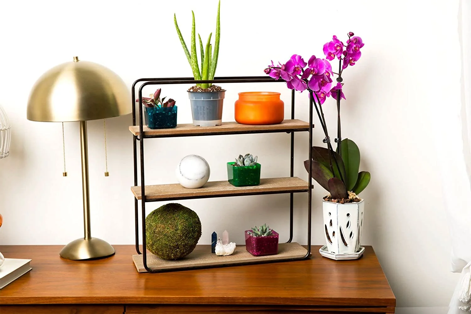 Clear Succulent Pots - 6 Pack (Rose Quarts)