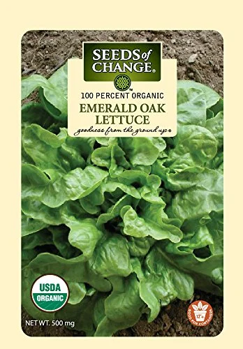 Seeds of Change 04994 Emerald Oak Lettuce, Green