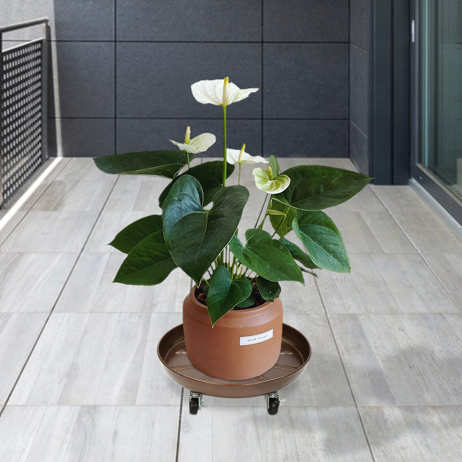 2 x Plant Stand Flowerpot Pot Trolley with Wheels Movable Flexible Plant Saucer +10* Universal Wheels