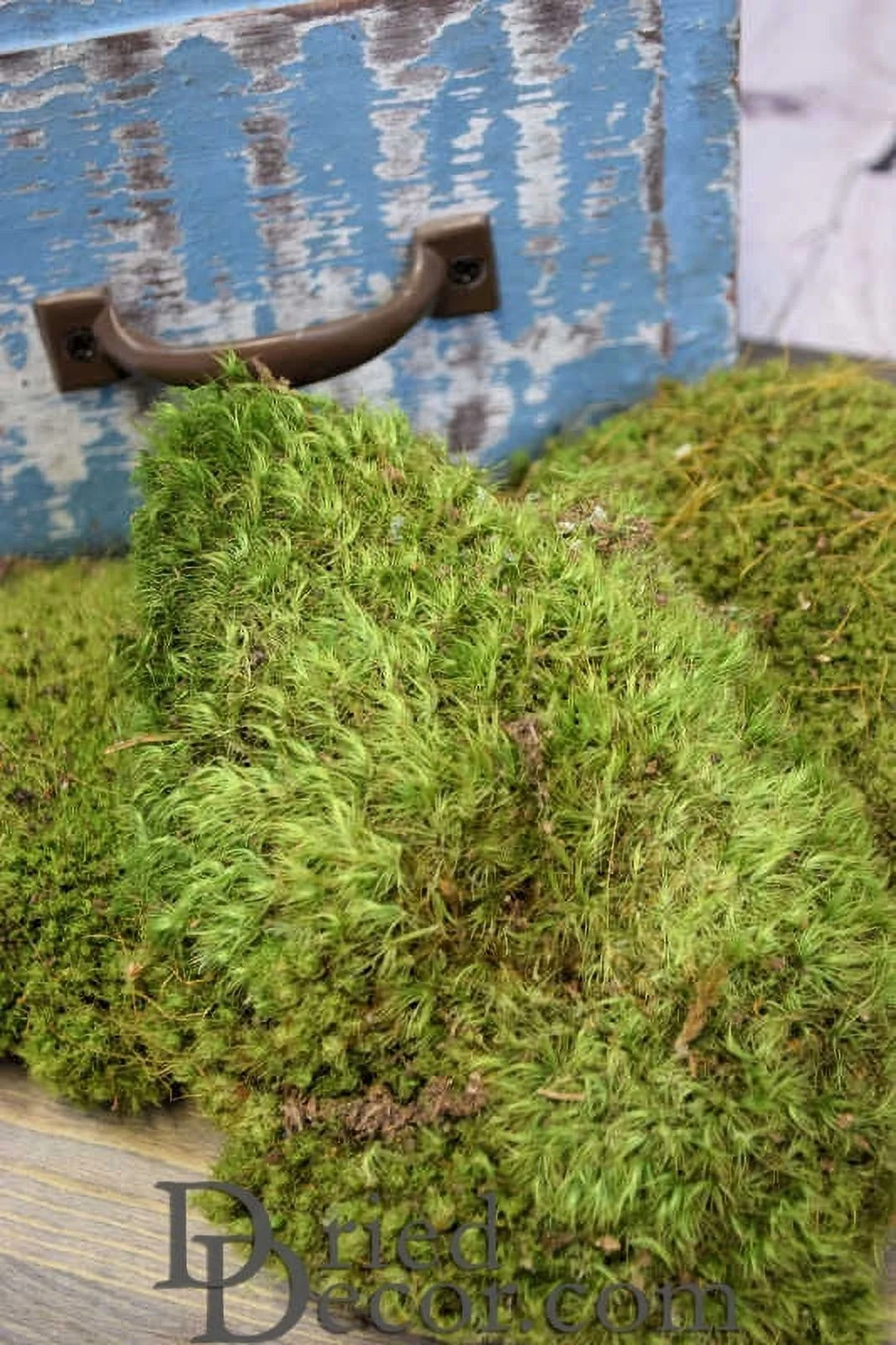 1 Box, 3Lb Bulk, Mood Moss - Natural for Arrangements, as Bowl Filler, and Arts and Craft Projects