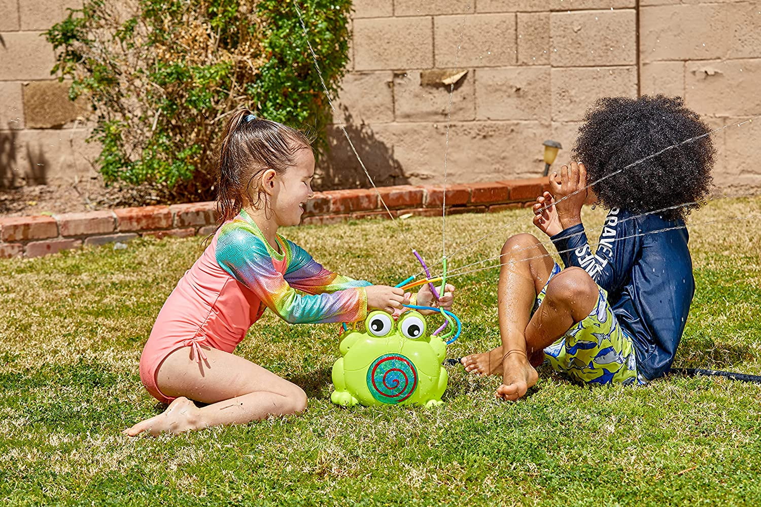 Joyin Sprinkler Frog