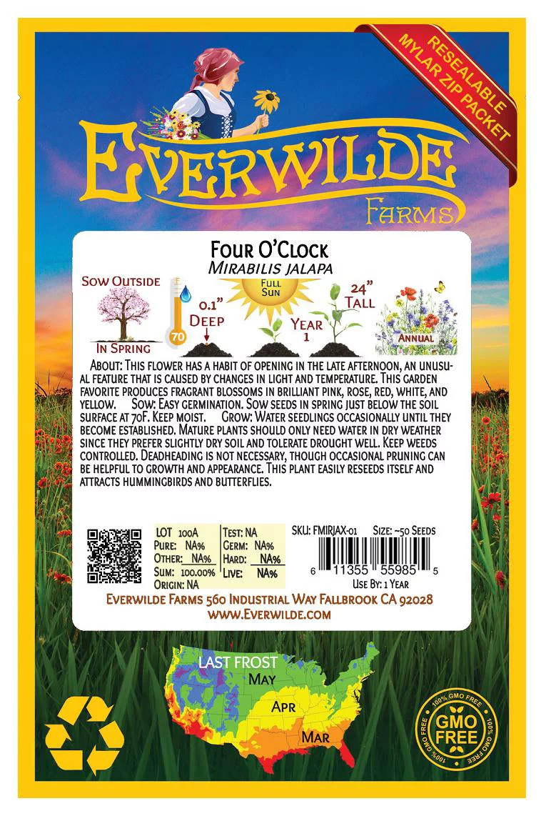 Everwilde Farms - 50 Mixed Four O Clock Garden Flower Seeds - Gold Vault Jumbo Bulk Seed Packet