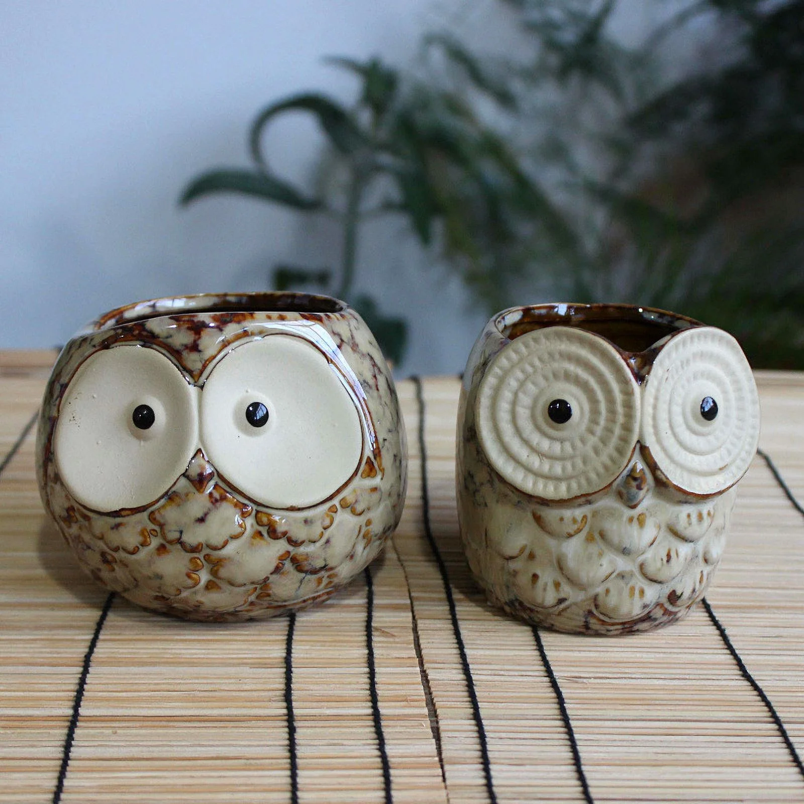 Ceramic Succulent Planter - Owl Shaped Thumb Pot with Colorful Glaze