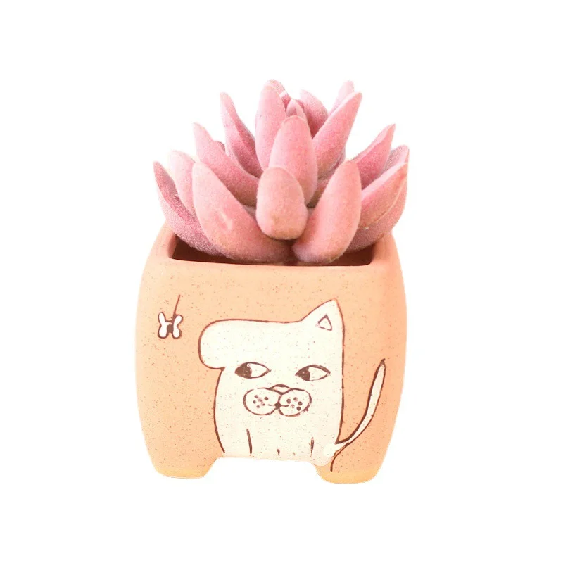 LivNxt Ceramic Succulent Planter - Hand-Painted Cartoon Succulent Plant Pot Nursery Pot Desktop Planter