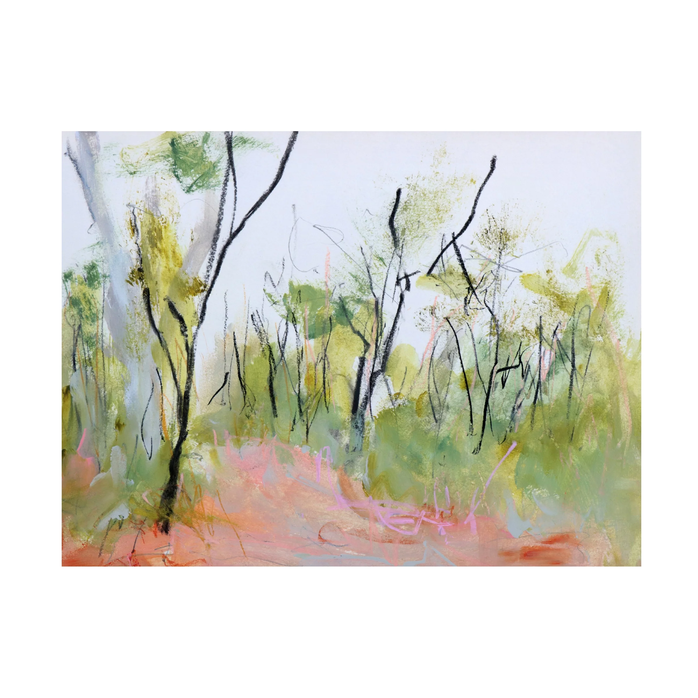 Ann Gordon 'Loop Trail Through Swamp Oak Woodland' Canvas Art