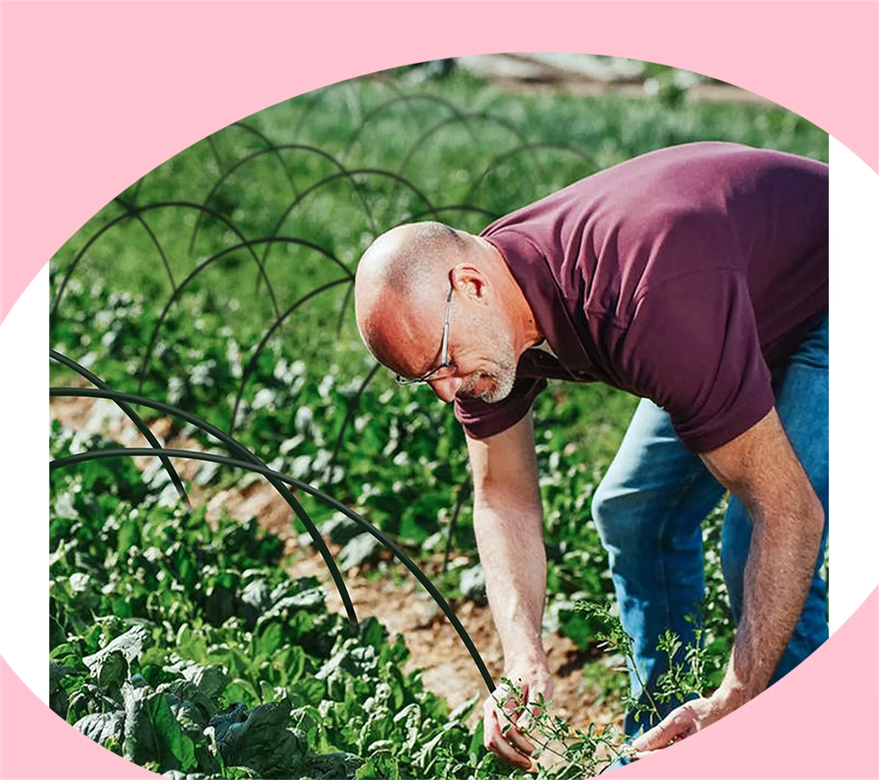 Garden Hoops Grow Tunnel - Greenhouse Hoops