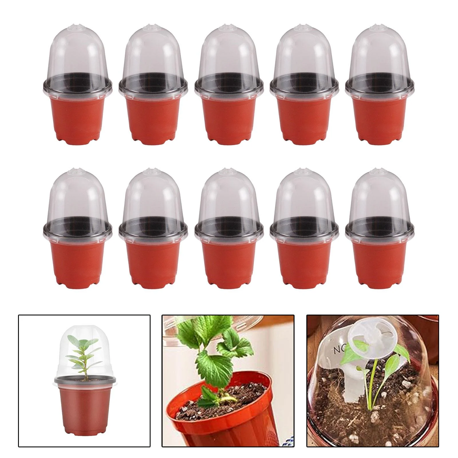koolsoo 10 Pieces Planting Containers Cups Nursery Pots Gardening Tools Plant Pot Soft Transparent Lid for Yard Garden Indoor Outdoor