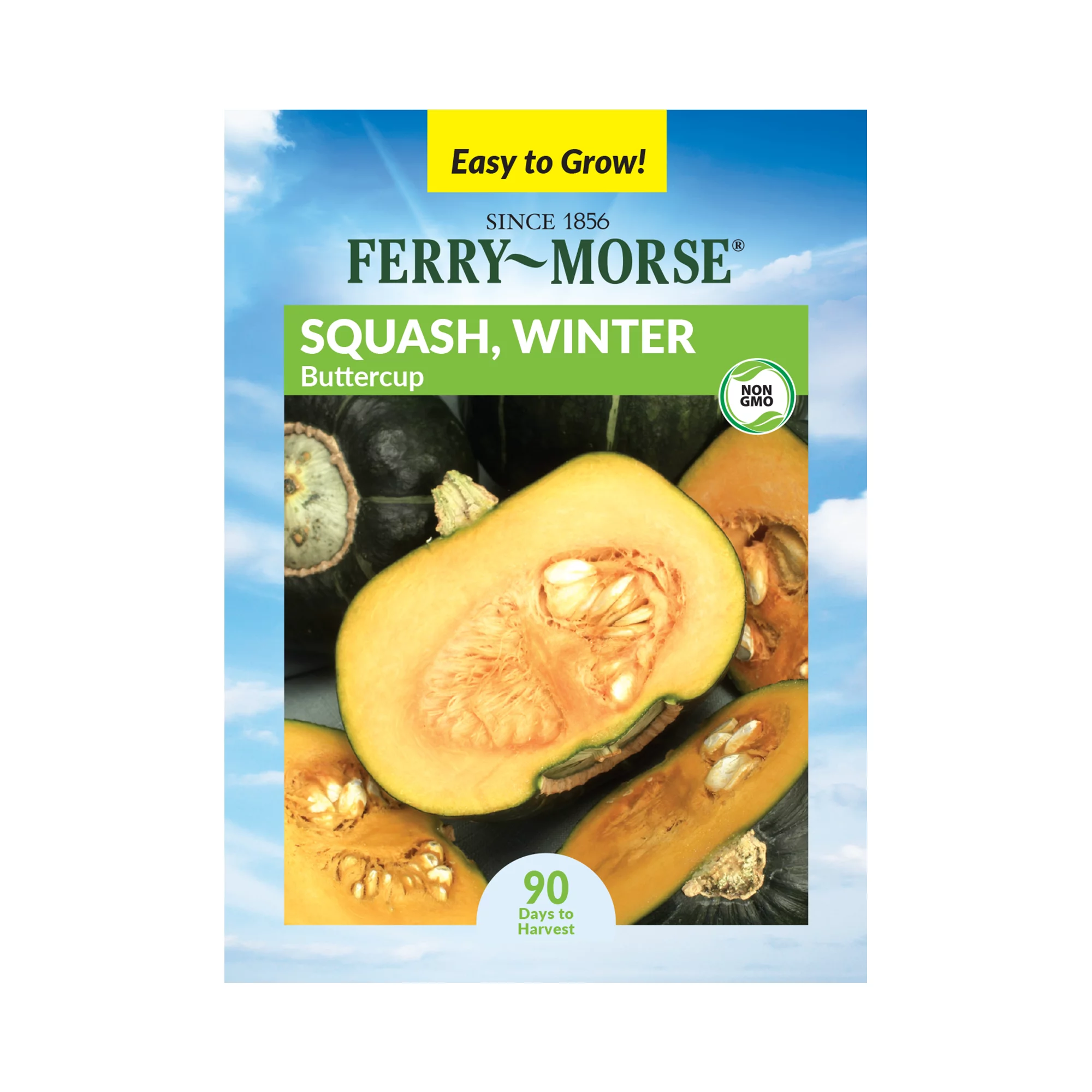 Ferry-Morse 2500MG Squash Winter Buttercup Vegetable Plant Seeds Full Sun