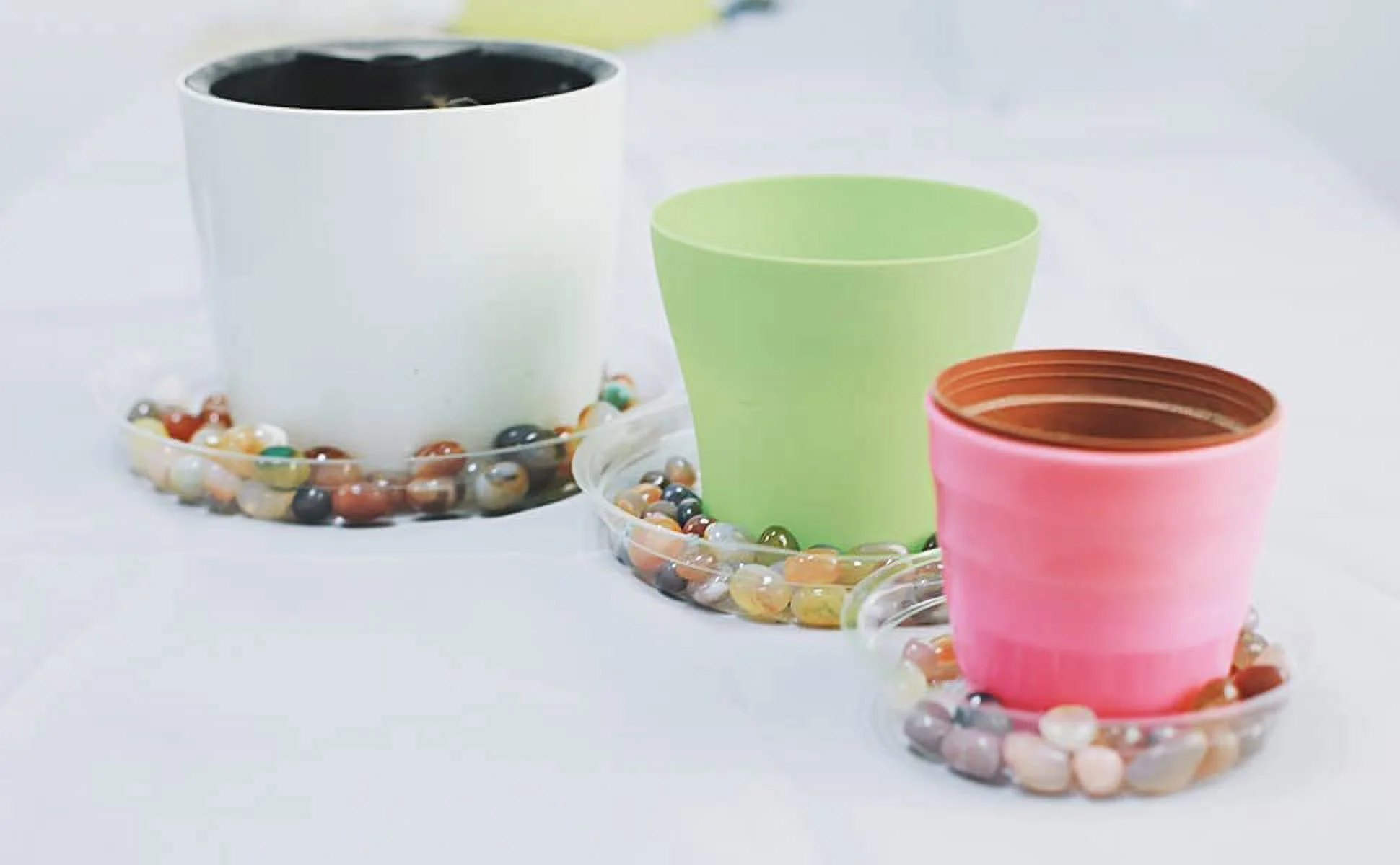 Black Duck Brand 20 Pack 8-Inch Plant Saucers Clear Plant Saucers Flower Pot Plastic Drip Trays Excellent for Indoor & Outdoor Plants