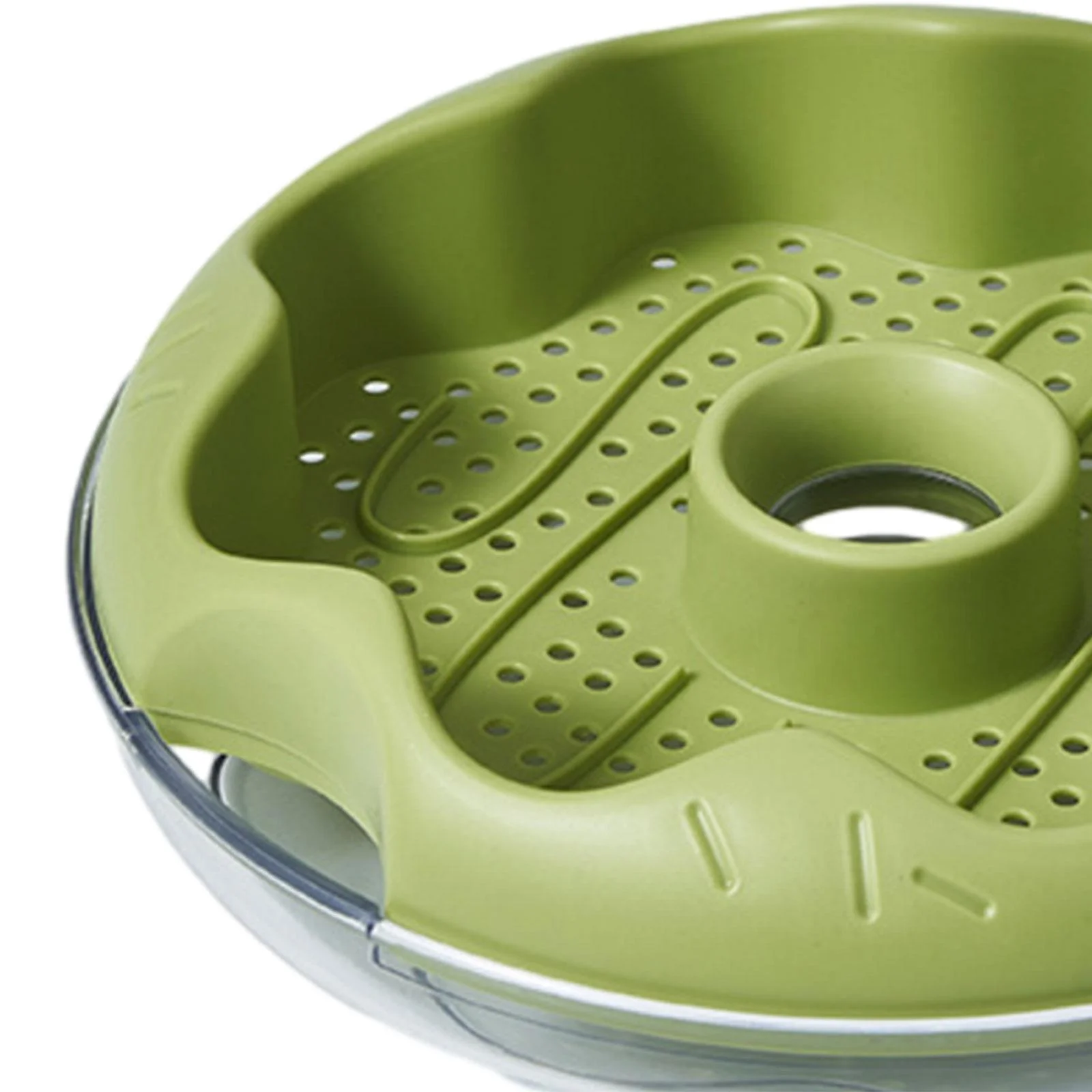 oshhnii Grass , Planting Tray, Germination Tray, Grass Sprouting Tray, Cat Snack Green