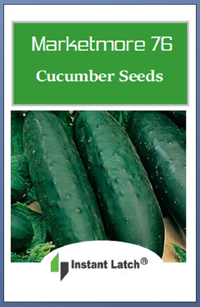 50 Marketmore 76 Cucumber Seeds | NON-GMO | Fresh Heirloom Garden Seeds