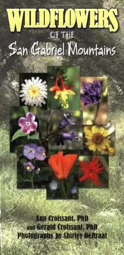 Pre-Owned Wildflowers of the San Gabriel Mountains Paperback