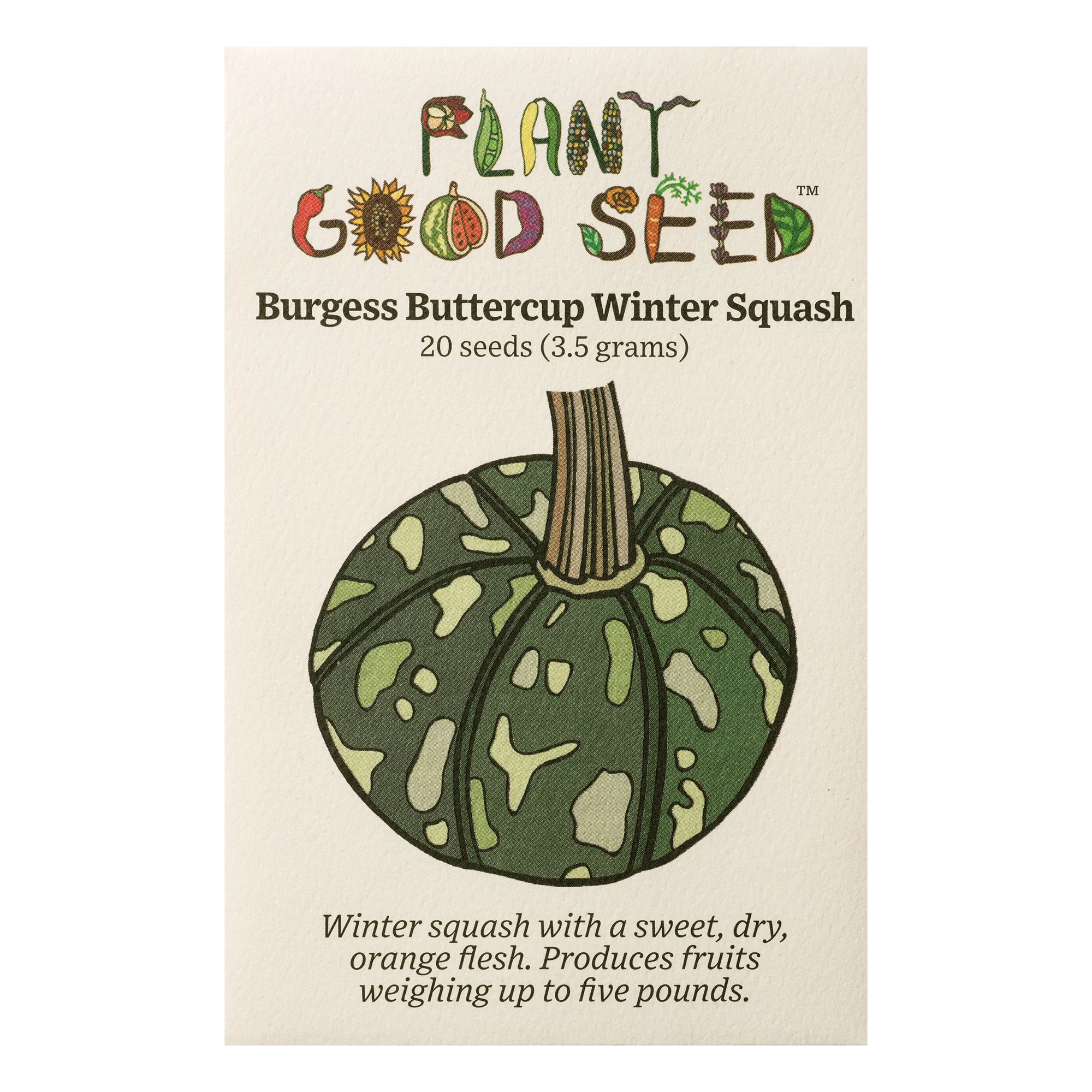 Burgess Buttercup Winter Squash Seeds