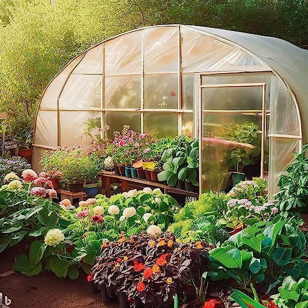 Greenhouse Plastic Film Clear Polyethylene 6 mil 4 Year UV Resistant Cover (8 ft Wide x 25 ft Long)