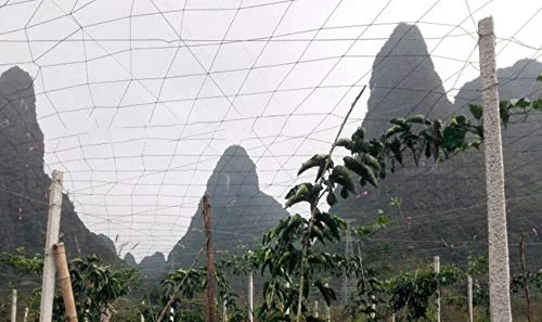 PE Plants Special Trellis Netting for Cucumber and Bitter Gourd, 6 Strands, Netting Size:W6.5xL196.8'/2x60m, Mesh Size: 7.8