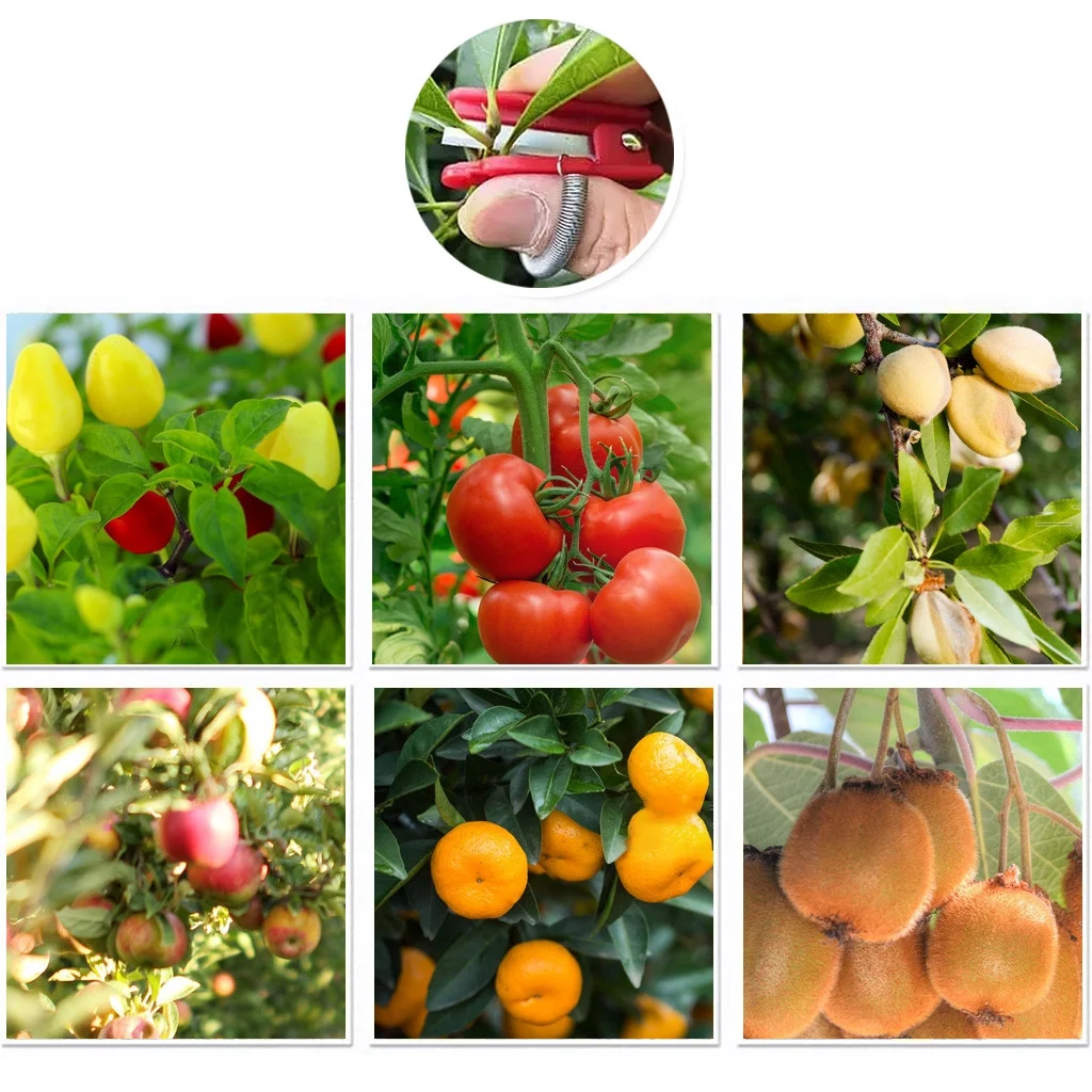 Umitay Harvesting Picking Tool Thumb Cutter Tool Gardening Harvesting Picking Device