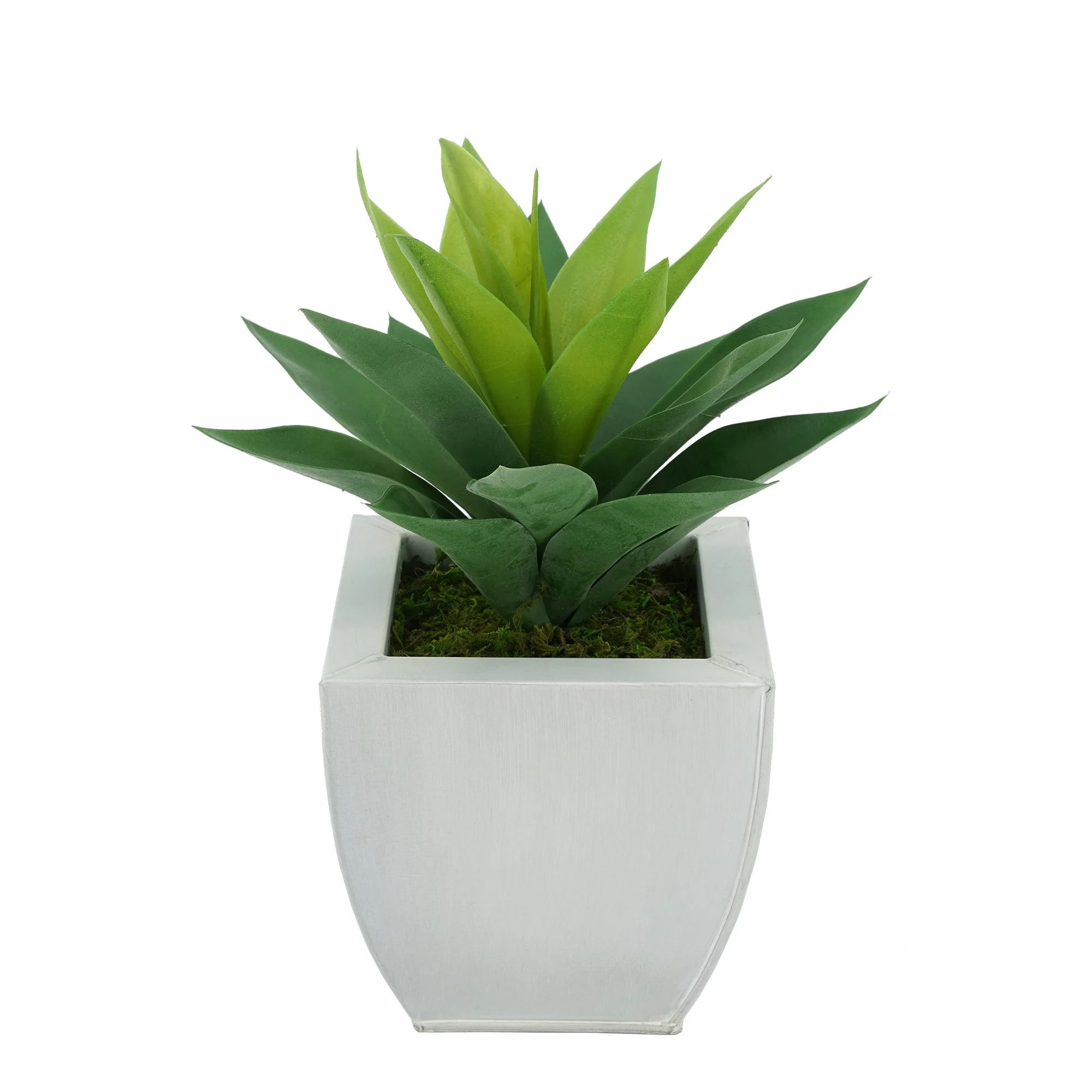 House of Silk Flowers Faux Frosted Light Green Succulent in Tapered Zinc Pot (Cream)