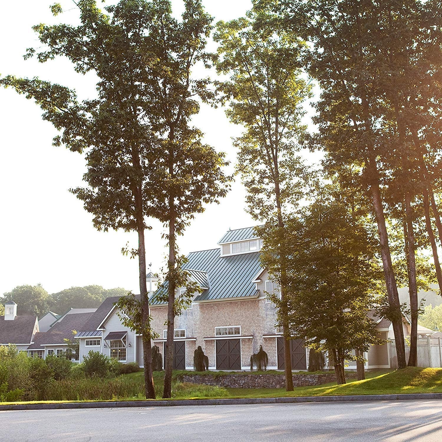 Stonewall Kitchen Stonewall Kitchen  Curd, 11.5 oz