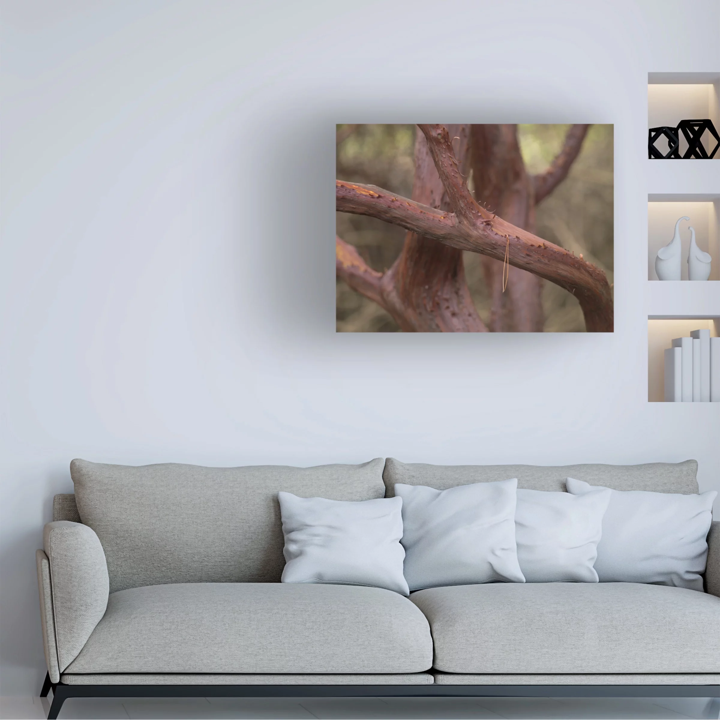 Geoffrey Ansel Agrons 'Manzanita Study I' Canvas Art