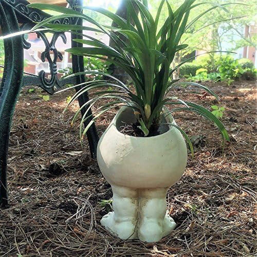 Antique White The Muggly Statue Face Planter Holds 3