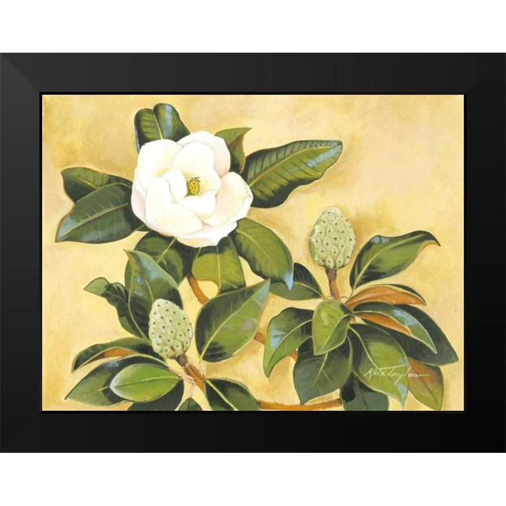 Taylor, Kris 14x12 Black Modern Framed Museum Art Print Titled - Southern Magnolia II