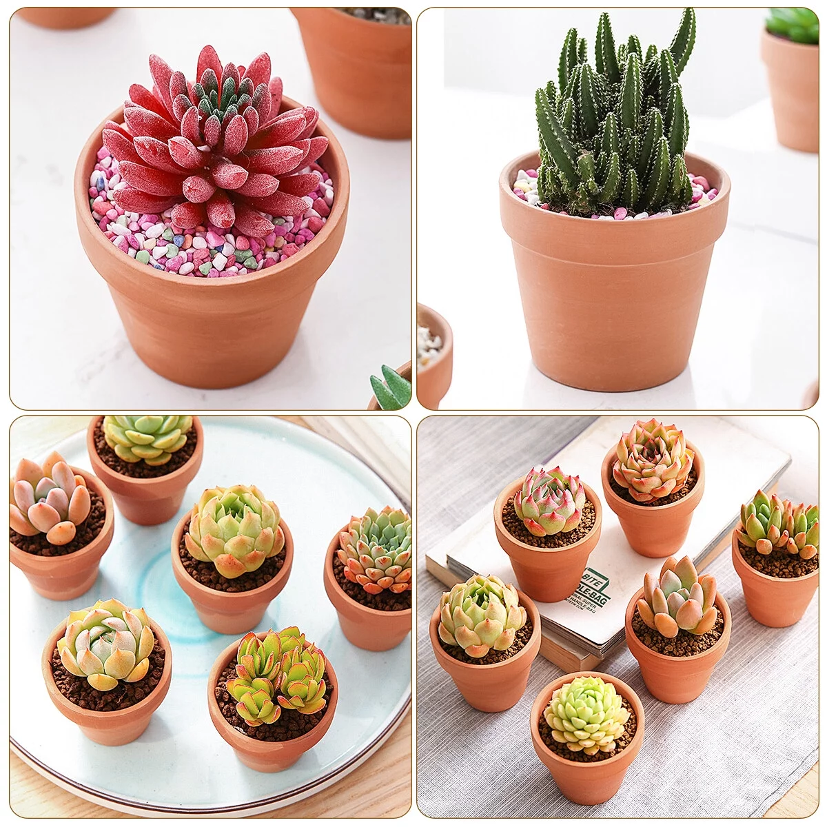 Gongxipen BESTOMZ 10Pcs Small Mini Terracotta Pot Clay Pottery Planter Cactus Flower Pots Succulent Nursery Pots Wedding Party Favor