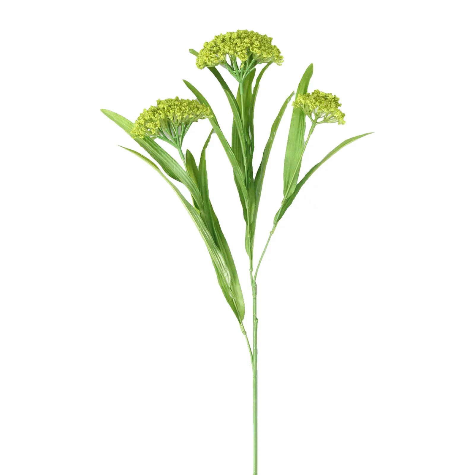 12 Pack: Green Queen Anne's Lace Spray by Ashland®