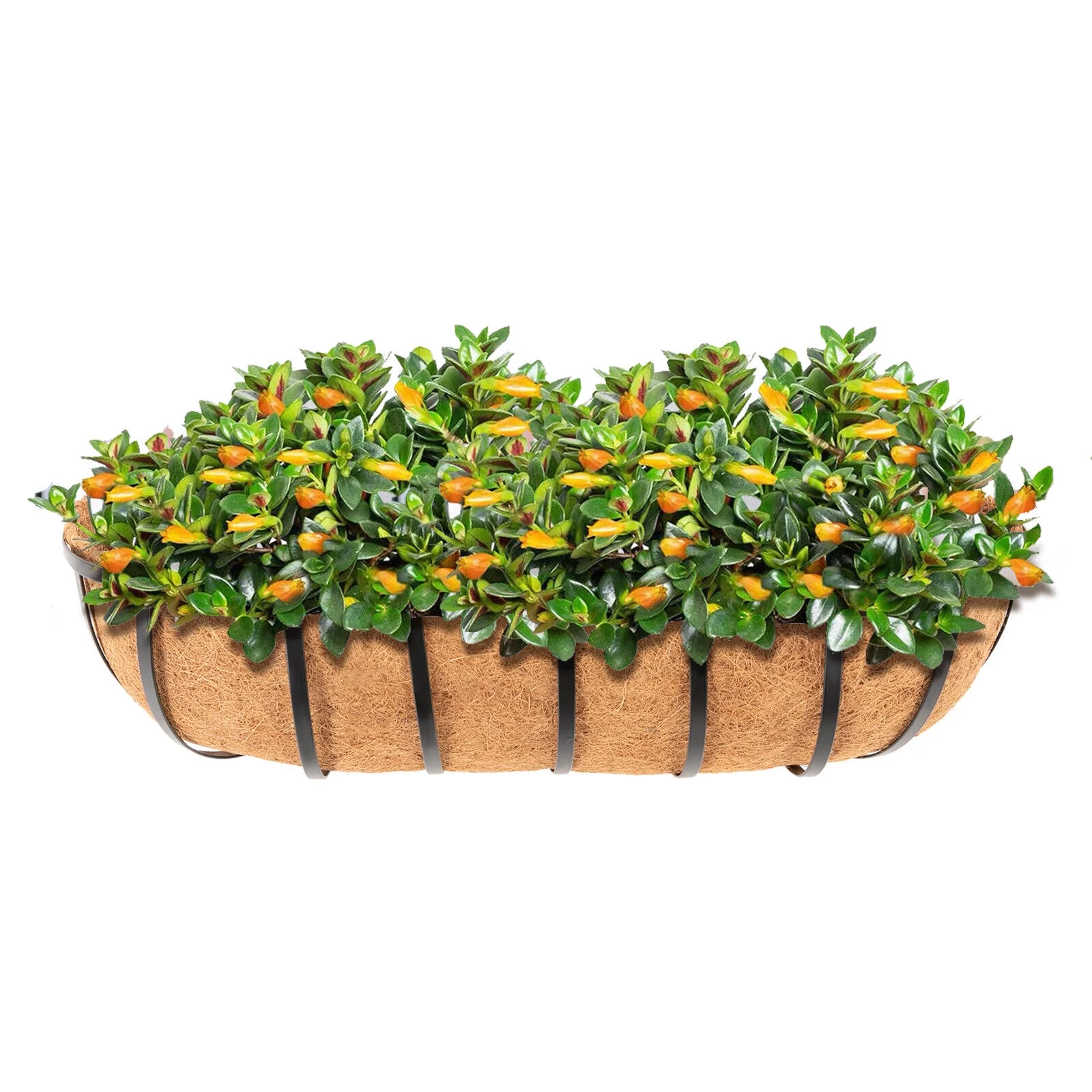 24inch Deck Railings Flower Boxes, Set of 4 Deck Railing Planter Boxes Window Boxes Hanging Flower Planter Boxes for Garden Lawn Window Basket Railing Window Boxes for Outdoor& Indoor