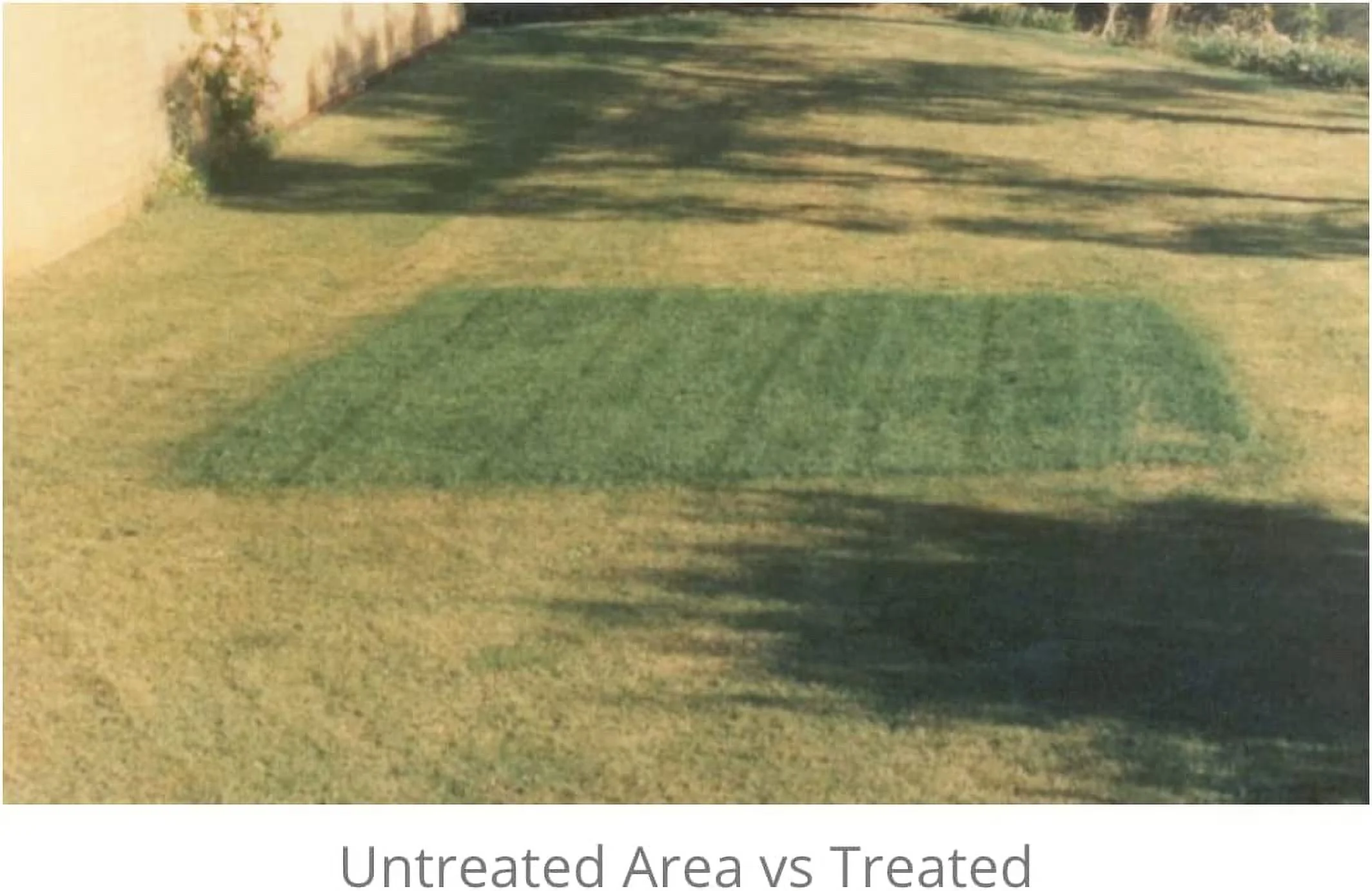 Hydretain Root Zone Moisture Manager 2 Quarts with HoseEnd Sprayer